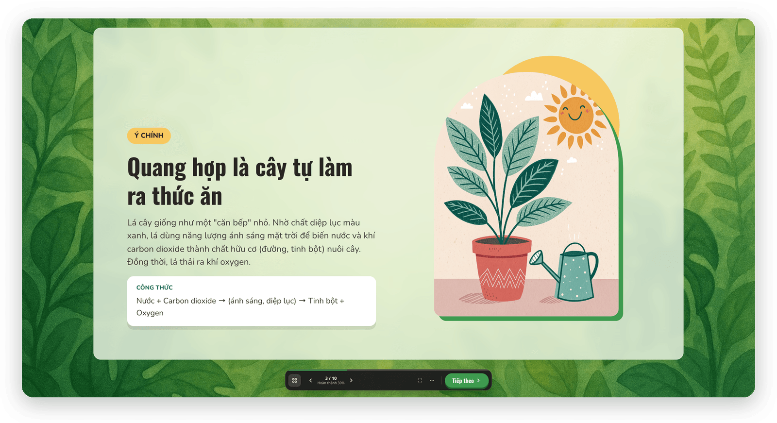 Bài giảng quang hợp trong player với bố cục Dock